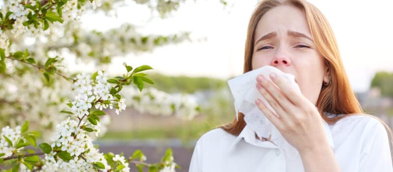 What Experts Say About Allergy Prevention You Didn’t Know