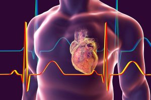 The Science Behind Heart Risk Factors Recommended by Experts
