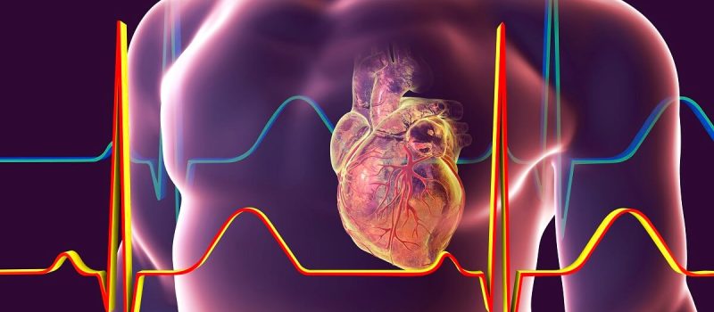 The Science Behind Heart Risk Factors Recommended by Experts
