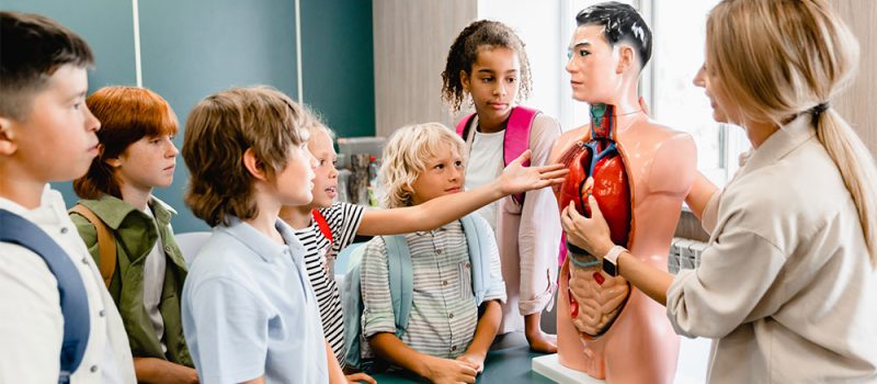 Common Myths About School Health Tips You Didn’t Know